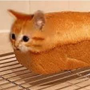 3202_Bread_Cat.png Discord Emoji