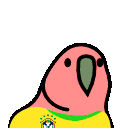 4520_brazilianplayerparrot.gif Discord Emoji