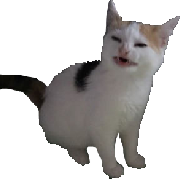 Featured image of post Cat Meme Discord Emoji - Download hundreds of custom animated emojis and emotes to use in slack, discord, and more.
