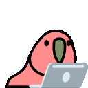 5378_laptop_parrot.gif Discord Emoji
