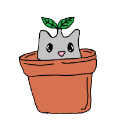 Potted_Cat_Plant
