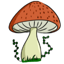 Nature_Mushroom