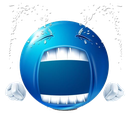 7576-bb-cry.png Discord Emoji